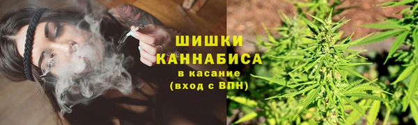 дурь Инсар