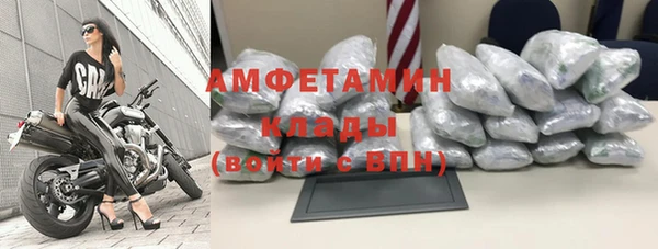 дурь Инсар