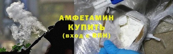 дурь Инсар