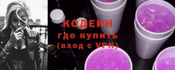 первитин Инта