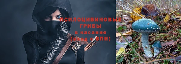 дурь Инсар
