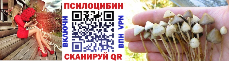 Псилоцибиновые грибы ЛСД  Купить  Тында 